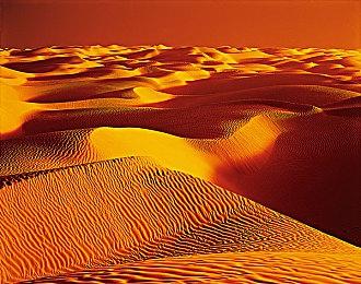 《彩虹六号：围攻》联动《彩虹六号：异种》 限时活动异种灾变正式上线