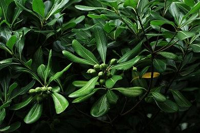 《使命召唤：黑色行动6》发布僵尸模式“自由瀑镇”CG预告